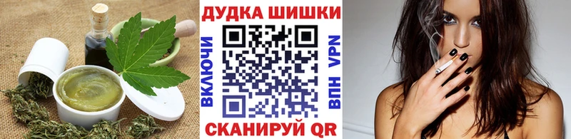 Купить где  Ковров  Canna-Cookies конопля 