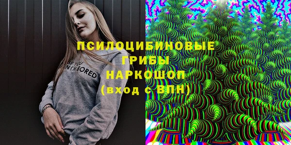 Альфа ПВП Арсеньев
