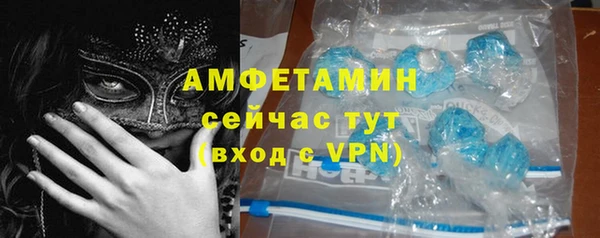 ешки Аркадак