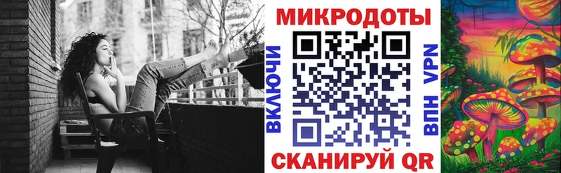 Купить закладки  Ковров  Псилоцибиновые грибы мицелий 